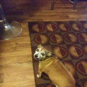 Meet your Posher, Racquel